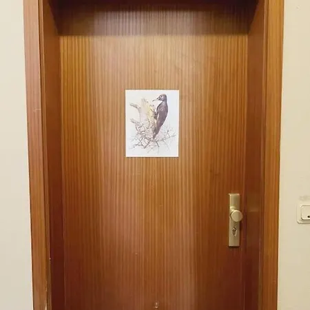 Apartment Buntspecht Erfurt